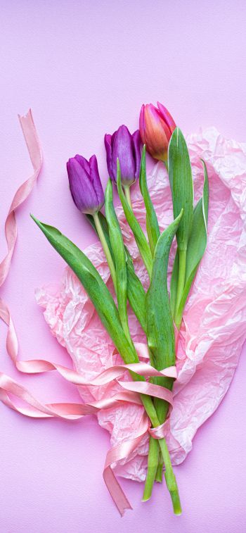 bouquet of tulips, purple, flower arrangement Wallpaper 828x1792