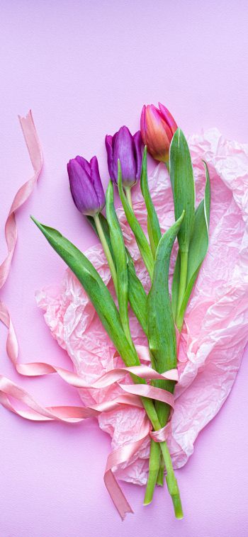 Обои 1080x2340 букет тюльпанов, фиолетовый, цветочная композиция