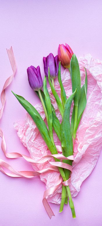 bouquet of tulips, purple, flower arrangement Wallpaper 1440x3200