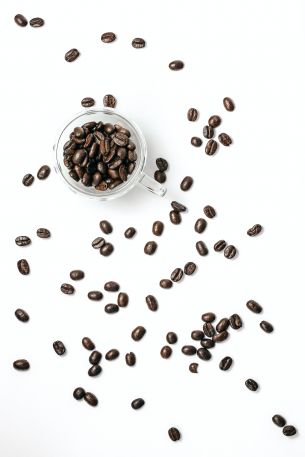 coffee beans, on white background, light Wallpaper 4480x6720