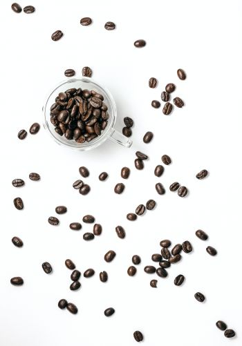 coffee beans, on white background, light Wallpaper 1668x2388