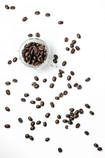 coffee beans, on white background, light Wallpaper 640x960