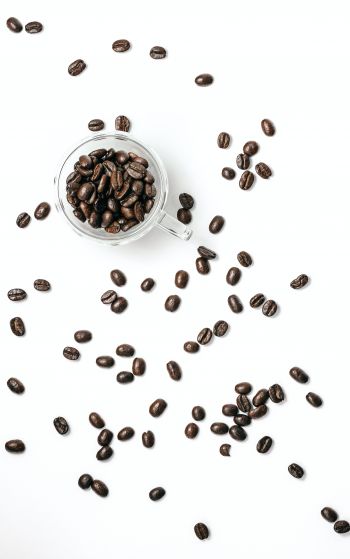 coffee beans, on white background, light Wallpaper 1752x2800