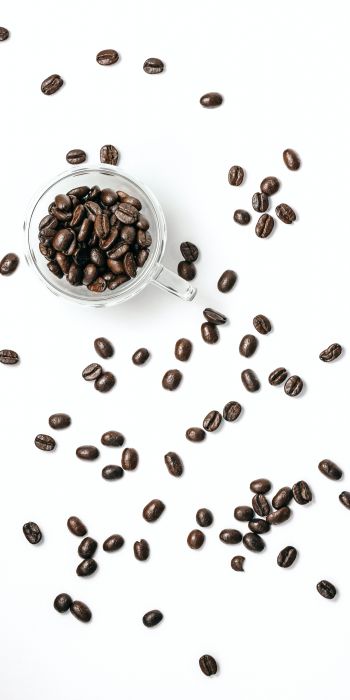 coffee beans, on white background, light Wallpaper 720x1440