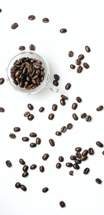 coffee beans, on white background, light Wallpaper 1080x2220