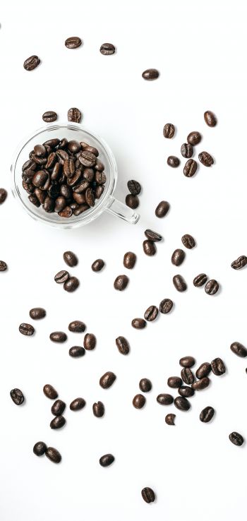 coffee beans, on white background, light Wallpaper 1440x3040