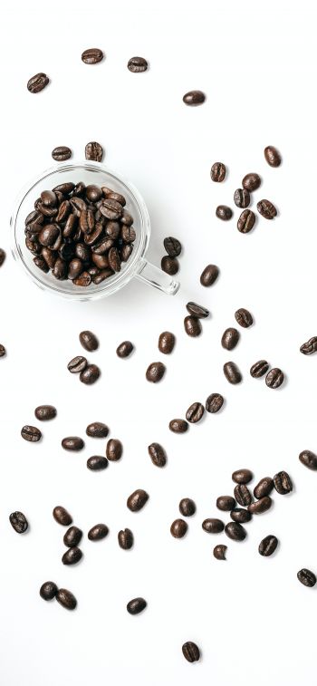 coffee beans, on white background, light Wallpaper 828x1792