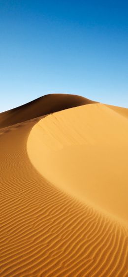 Обои 828x1792 дюна, пустыня, песок