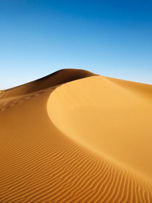 Обои 2893x3868 дюна, пустыня, песок