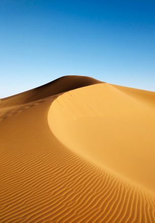 Обои 1640x2360 дюна, пустыня, песок