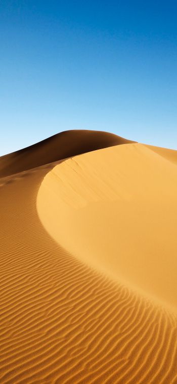 Обои 1125x2436 дюна, пустыня, песок