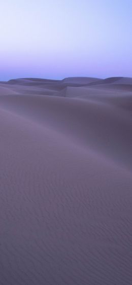 Обои 1242x2688 песчаные дюны, пустыня, фиолетовый