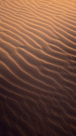Обои 750x1334 песок, пустыня