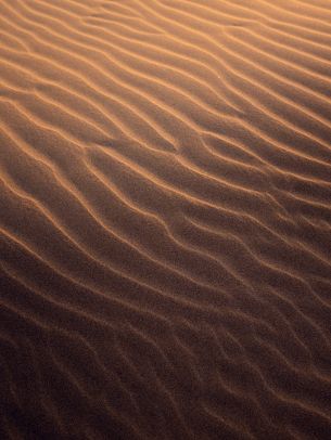 Обои 2048x2732 песок, пустыня
