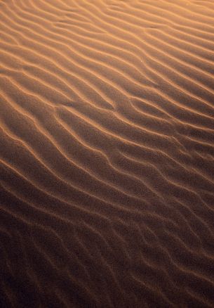 Обои 1640x2360 песок, пустыня