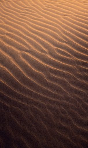 sand, desert Wallpaper 1200x2000