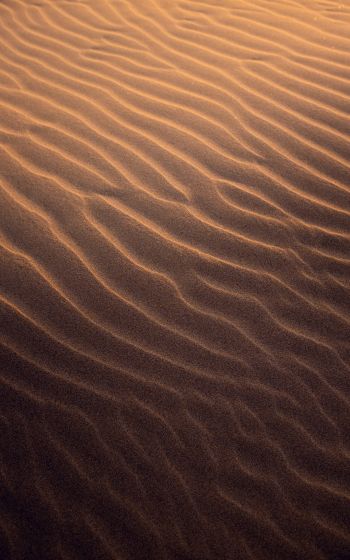 Обои 1600x2560 песок, пустыня