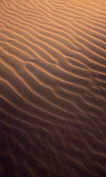 Обои 1200x2000 песок, пустыня