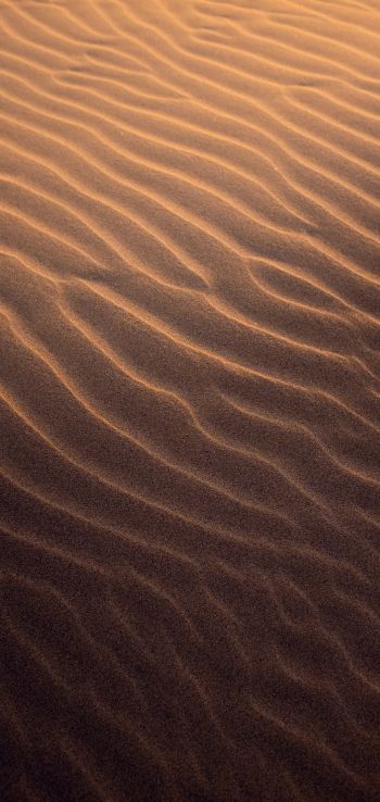 sand, desert Wallpaper 1080x2280