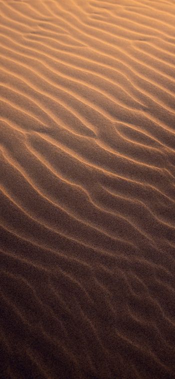 Обои 1242x2688 песок, пустыня
