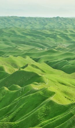 valley, bird's eye view, green Wallpaper 600x1024