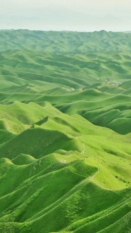 valley, bird's eye view, green Wallpaper 640x1136