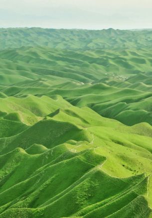 Обои 1668x2388 долина, вид с высоты птичьего полета, зеленый