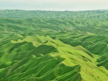 Обои 800x600 долина, вид с высоты птичьего полета, зеленый