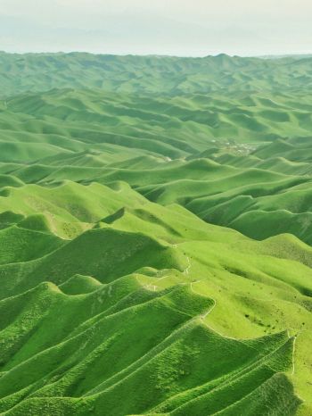 Обои 1620x2160 долина, вид с высоты птичьего полета, зеленый