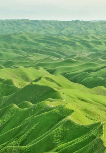 Обои 1640x2360 долина, вид с высоты птичьего полета, зеленый
