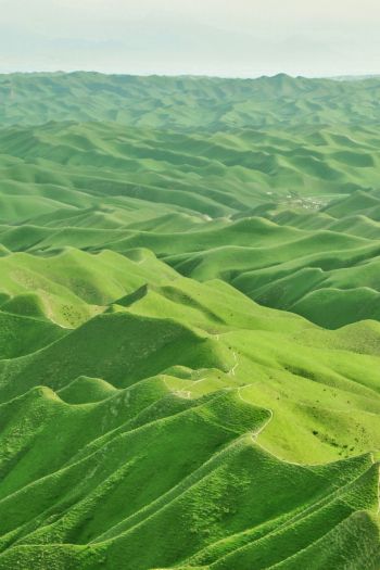 Обои 640x960 долина, вид с высоты птичьего полета, зеленый