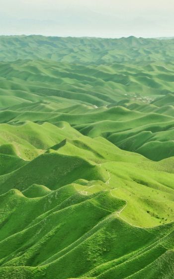 valley, bird's eye view, green Wallpaper 1600x2560