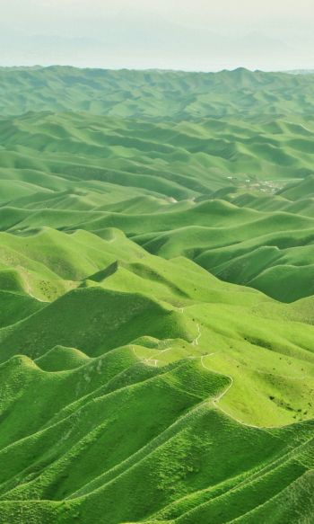 Обои 1200x2000 долина, вид с высоты птичьего полета, зеленый
