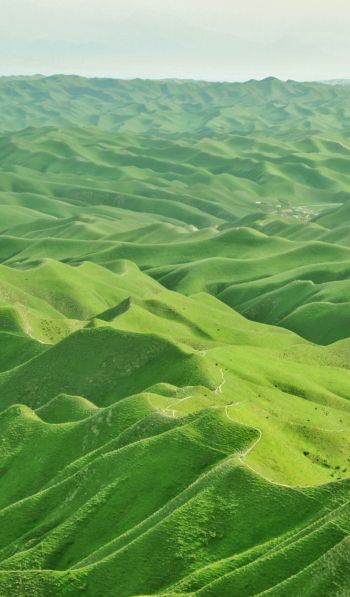 Обои 600x1024 долина, вид с высоты птичьего полета, зеленый