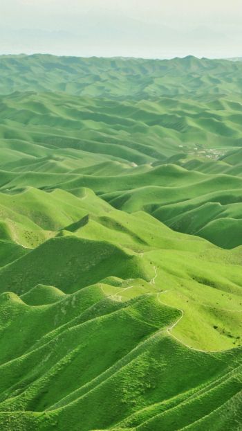 valley, bird's eye view, green Wallpaper 1440x2560
