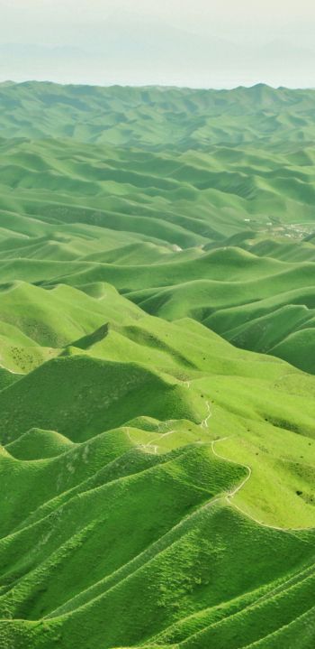 valley, bird's eye view, green Wallpaper 1440x2960