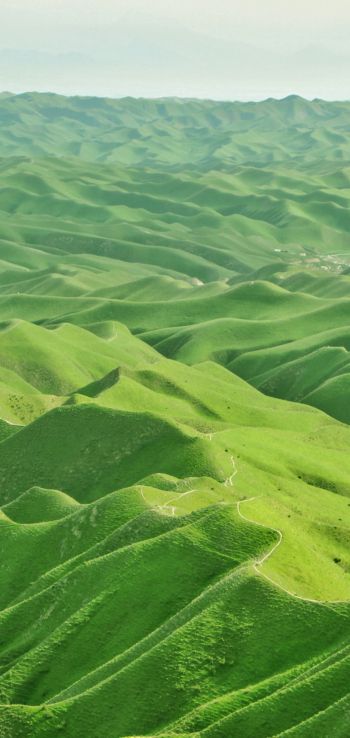 valley, bird's eye view, green Wallpaper 1440x3040