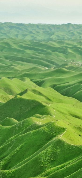 Обои 1125x2436 долина, вид с высоты птичьего полета, зеленый