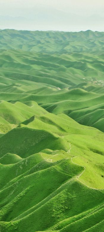 valley, bird's eye view, green Wallpaper 1080x2400