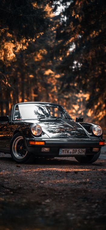 Porsche, sports car Wallpaper 828x1792