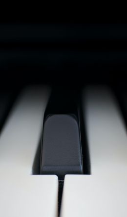 Обои 600x1024 клавиши пианино, музыкальный инструмент, минимализм