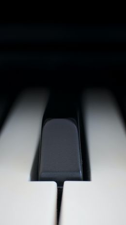 Обои 640x1136 клавиши пианино, музыкальный инструмент, минимализм