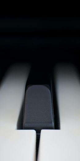 Обои 720x1440 клавиши пианино, музыкальный инструмент, минимализм