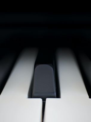 Обои 2048x2732 клавиши пианино, музыкальный инструмент, минимализм