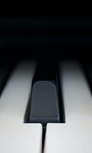 Обои 1200x2000 клавиши пианино, музыкальный инструмент, минимализм
