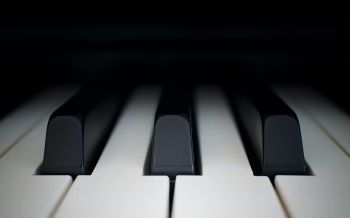 Обои 1920x1200 клавиши пианино, музыкальный инструмент, минимализм