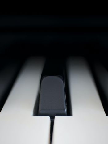 Обои 2048x2732 клавиши пианино, музыкальный инструмент, минимализм