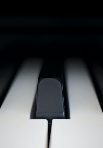 piano keys, musical instrument, minimalism Wallpaper 1668x2388