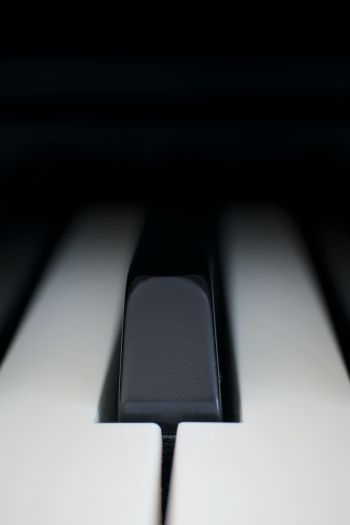 Обои 640x960 клавиши пианино, музыкальный инструмент, минимализм