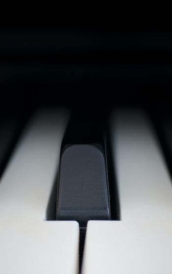 Обои 1752x2800 клавиши пианино, музыкальный инструмент, минимализм